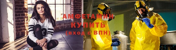 винт Ельня