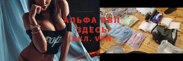 винт Ельня
