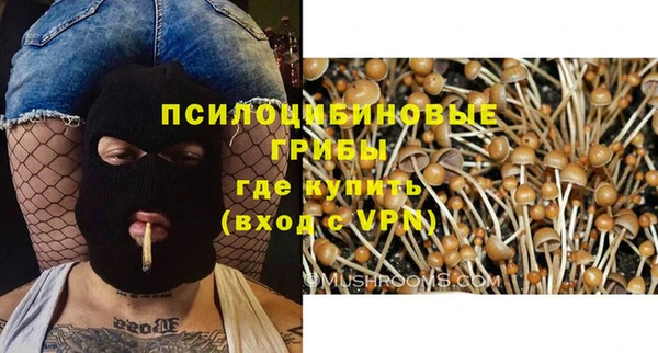 винт Ельня