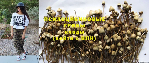 МДПВ Елизово