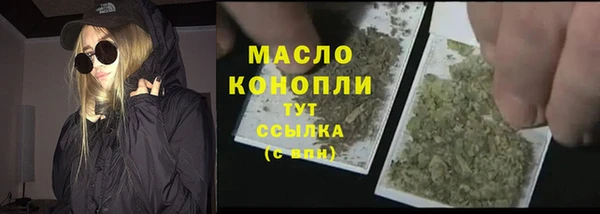 винт Ельня