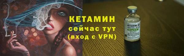 винт Ельня