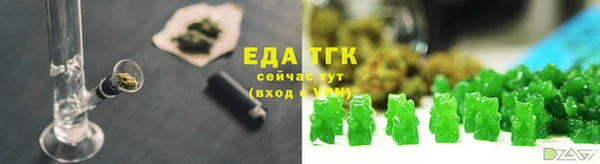 винт Ельня