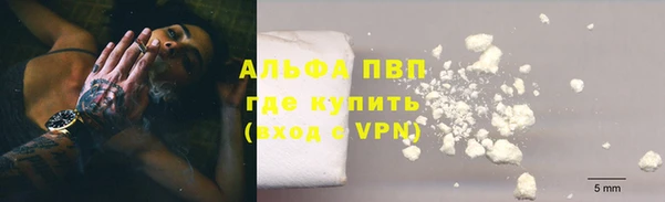 винт Ельня