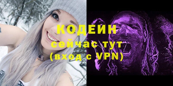 винт Ельня