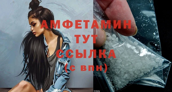 винт Ельня