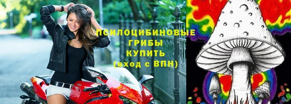 винт Ельня