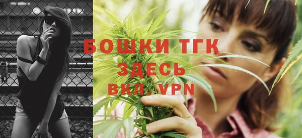 винт Ельня
