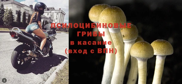 МДПВ Елизово