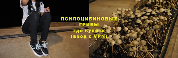 винт Ельня