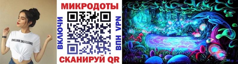 Галлюциногенные грибы Psilocybe  Купить  Скопин 